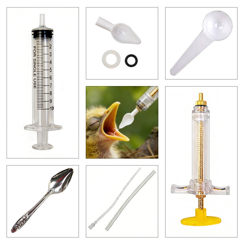 Baby Food Youtube - Precise Baby Bird Feeder Professional for