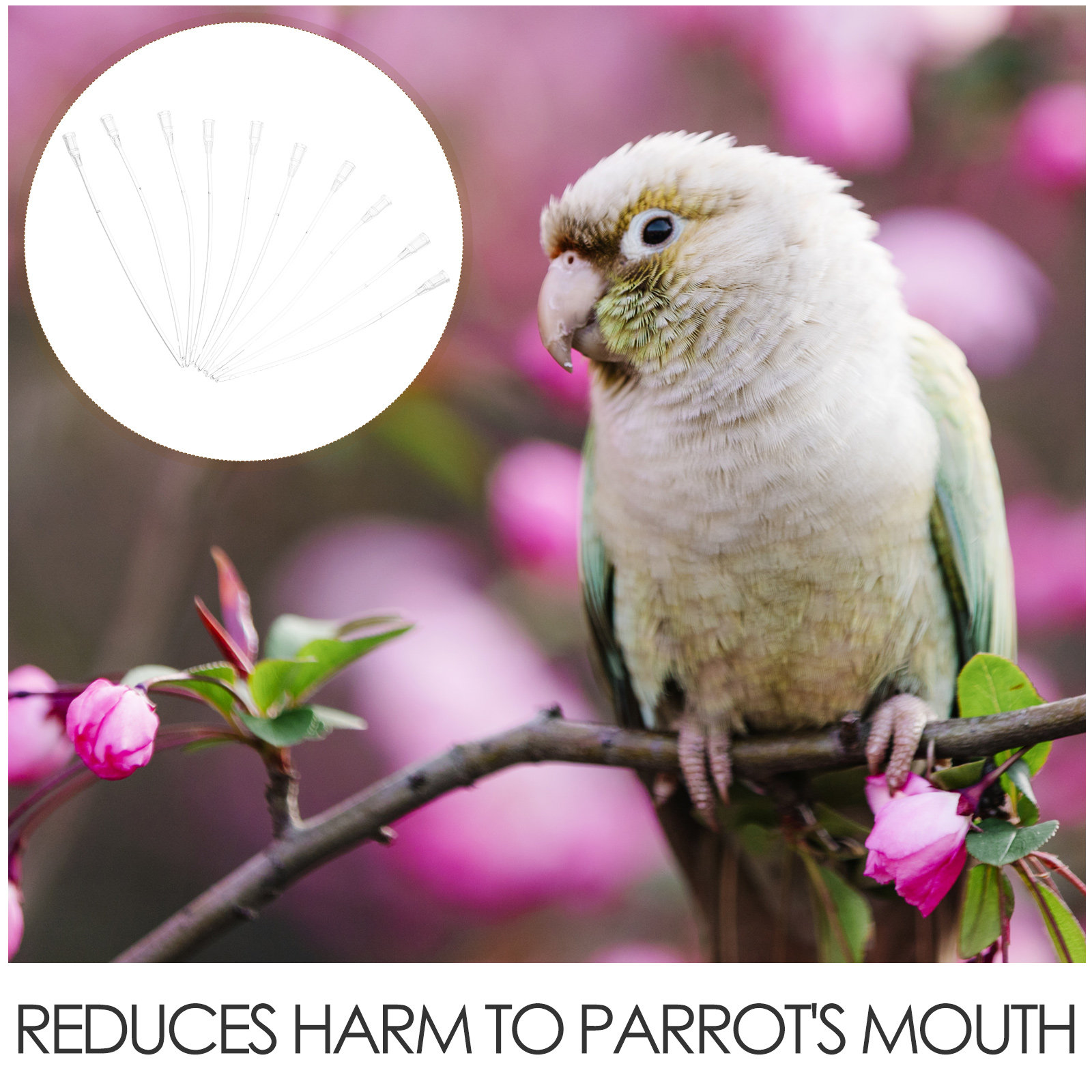 50Pcs Parrot Feeding Hose Soft - Baby Food Youtube review and price