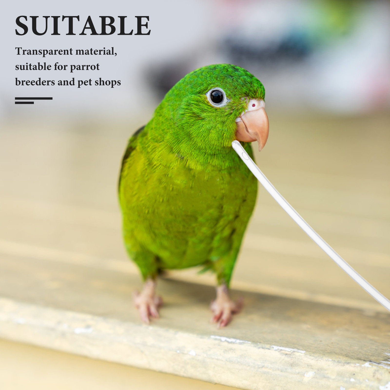10Pcs Parrot Hand Feeder Tube  - Baby Food Youtube review and price