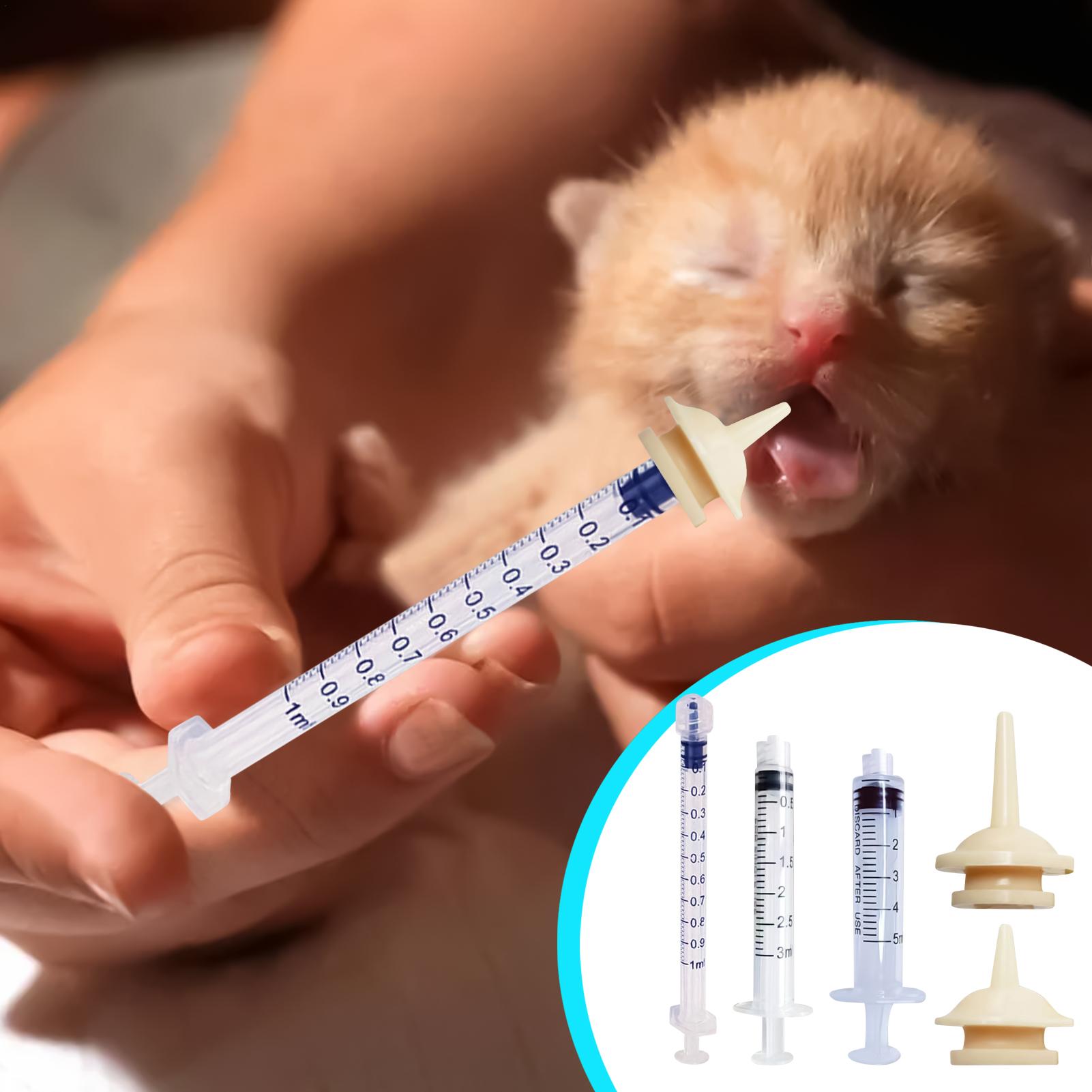 Baby Bird Feeding Syringe Reus - Baby Food Youtube review and price